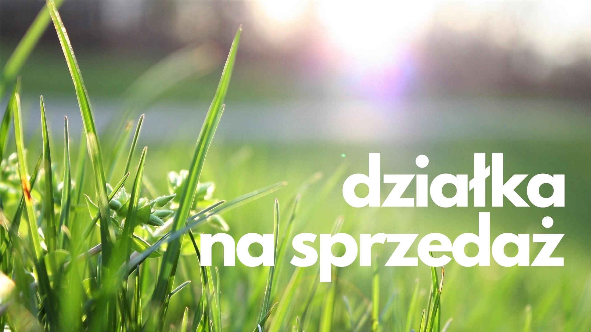 Działka na sprzedaż grafika