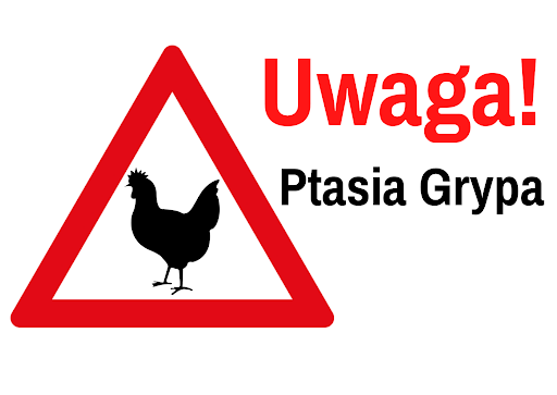 ptasia